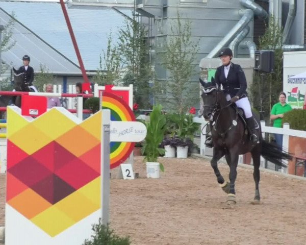 Horse Summer Meeting Jagstzell 2018