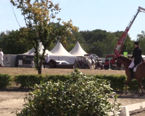 Reitturnier Olfen-Vinnum 2018