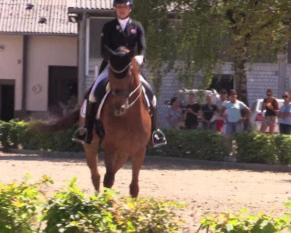 Reitturnier Olfen-Vinnum 2018