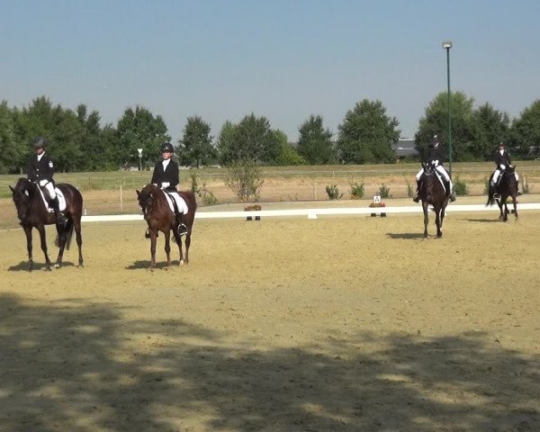 Reitturnier Neuss-Uedesheim 2018