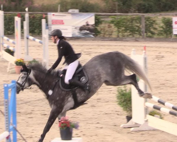 Reitturnier Monschau-Mützenich 2018
