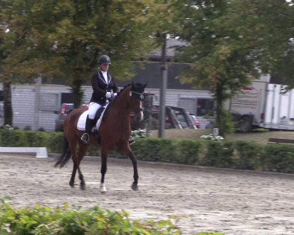 Reitturnier Olfen-Vinnum 2018