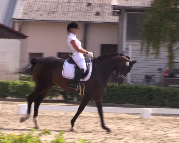 Reitturnier Olfen-Vinnum 2018