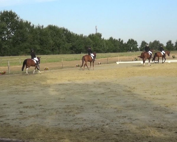Reitturnier Neuss-Uedesheim 2018