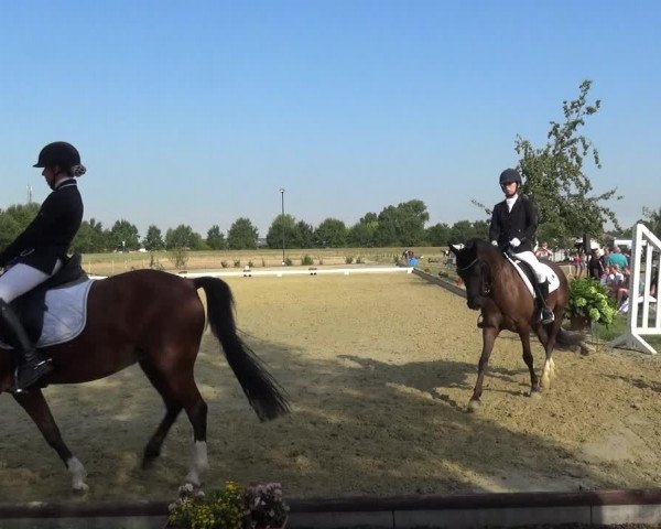 Reitturnier Neuss-Uedesheim 2018