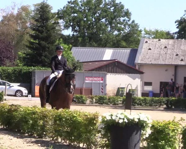Reitturnier Olfen-Vinnum 2018