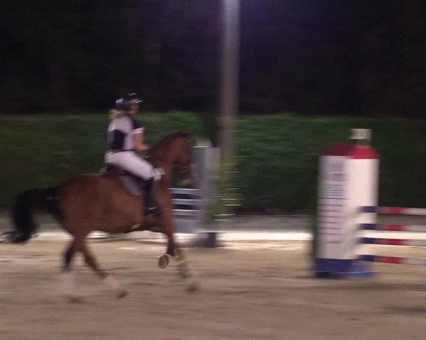 Reitturnier Olfen-Vinnum 2018