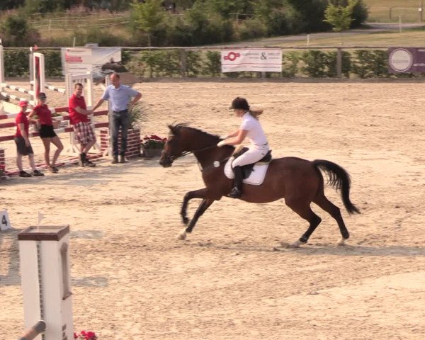 Reitturnier Monschau-Mützenich 2018
