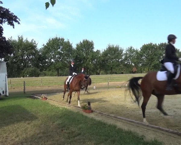 Reitturnier Neuss-Uedesheim 2018