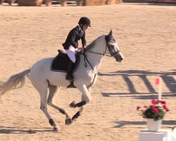 Reitturnier Monschau-Mützenich 2018
