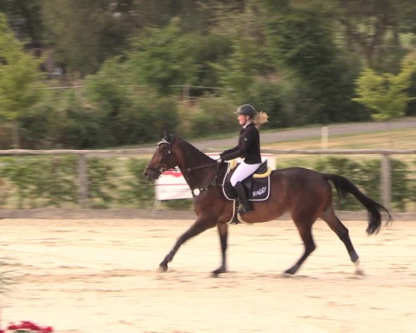 Reitturnier Monschau-Mützenich 2018