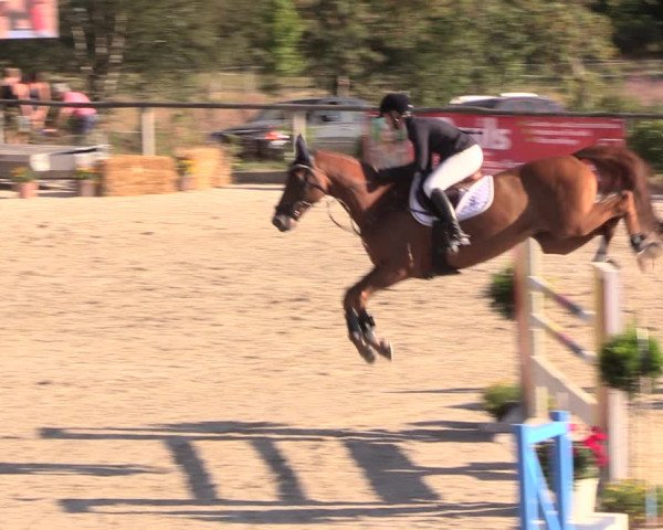 Reitturnier Monschau-Mützenich 2018