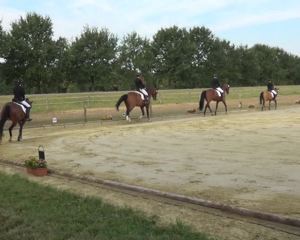 Reitturnier Neuss-Uedesheim 2018