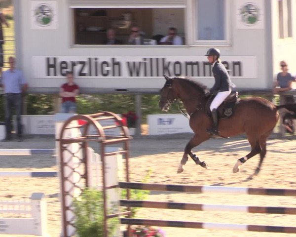 Reitturnier Monschau-Mützenich 2018