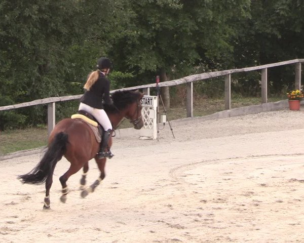 Reitturnier Monschau-Mützenich 2018
