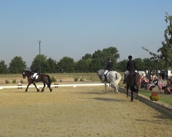Reitturnier Neuss-Uedesheim 2018