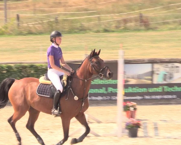 Reitturnier Monschau-Mützenich 2018