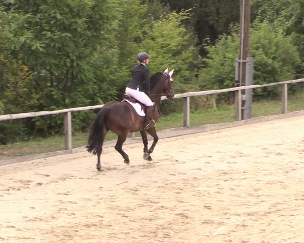 Reitturnier Monschau-Mützenich 2018