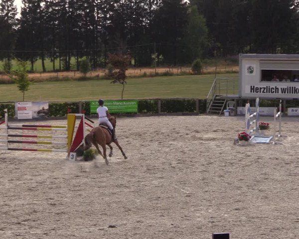 Reitturnier Monschau-Mützenich 2018