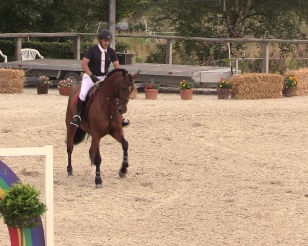 Reitturnier Monschau-Mützenich 2018
