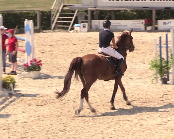 Reitturnier Monschau-Mützenich 2018
