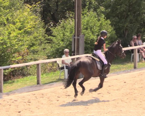 Reitturnier Monschau-Mützenich 2018