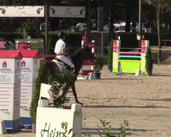 Reitturnier Olfen-Vinnum 2018