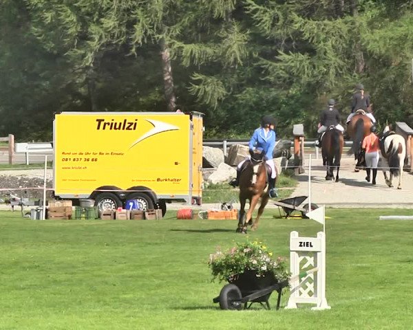 Sommer Concours Hippique St. Moritz 2018