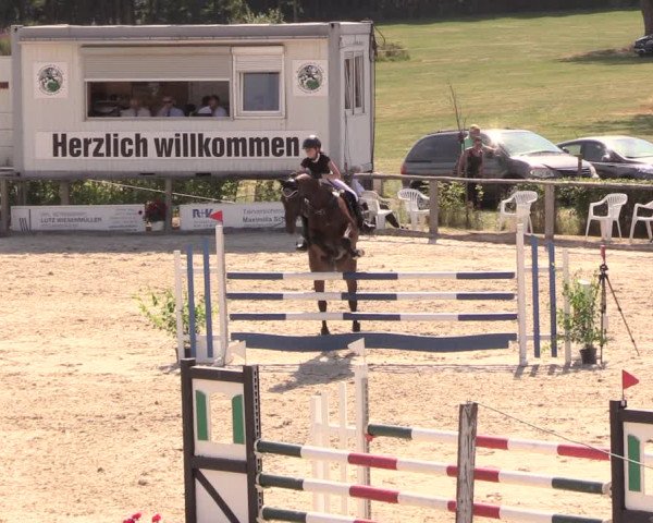 Reitturnier Monschau-Mützenich 2018