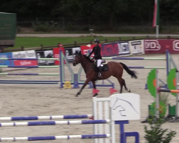 Reitturnier Westergellersen 2021