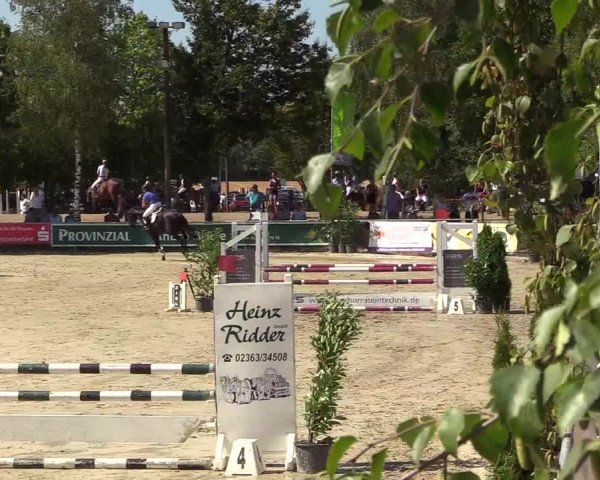 Reitturnier Olfen-Vinnum 2018