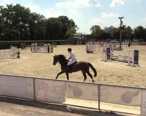Reitturnier Olfen-Vinnum 2018
