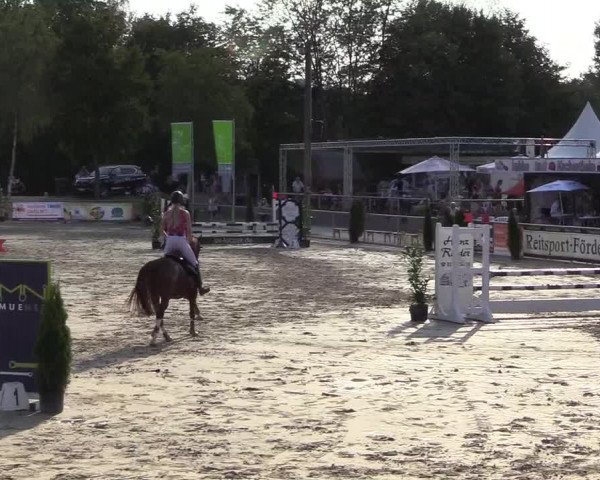 Reitturnier Olfen-Vinnum 2018