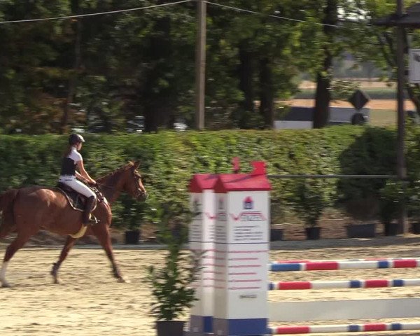 Reitturnier Olfen-Vinnum 2018