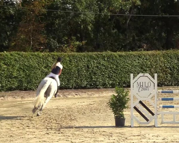 Reitturnier Olfen-Vinnum 2018