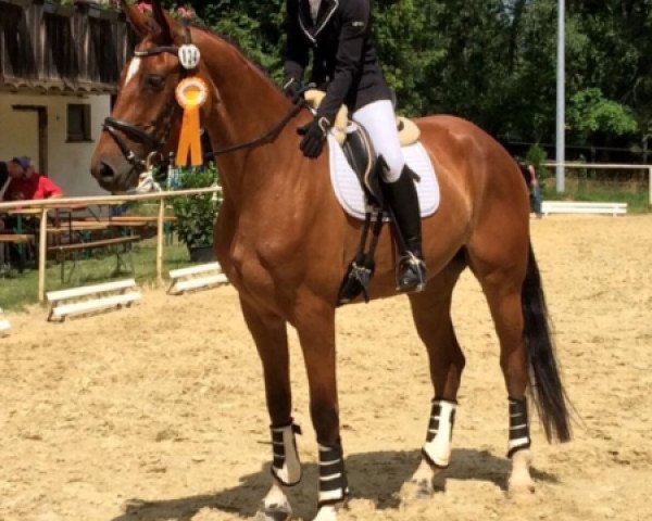 broodmare Mille Coeurs (Zweibrücken, 2013, from Monte Bellino)