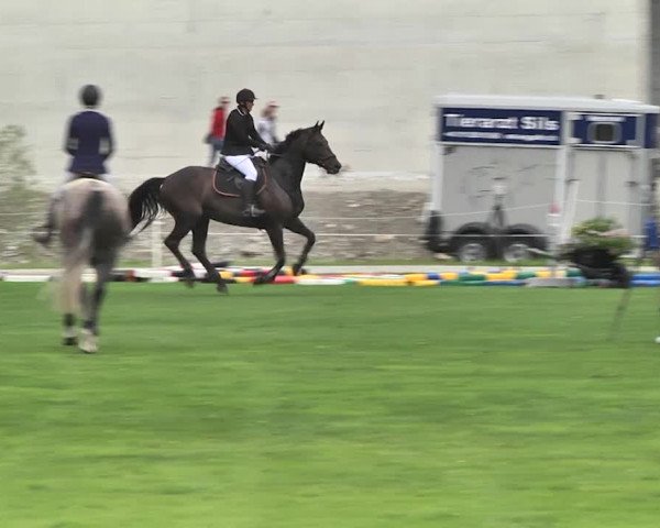 Sommer Concours Hippique St. Moritz 2018