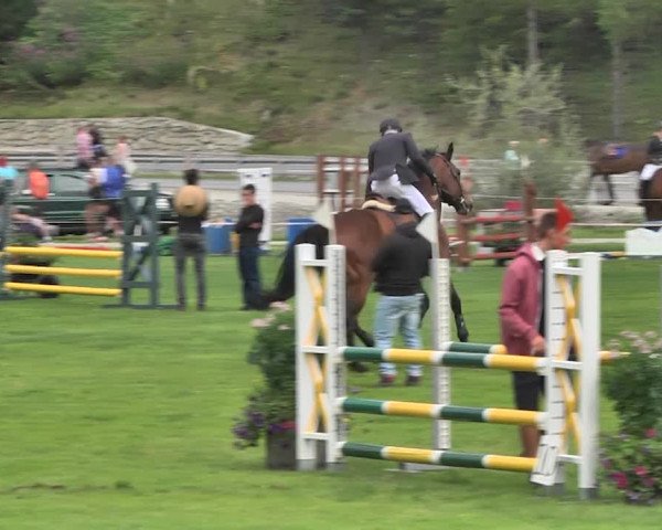 Sommer Concours Hippique St. Moritz 2018