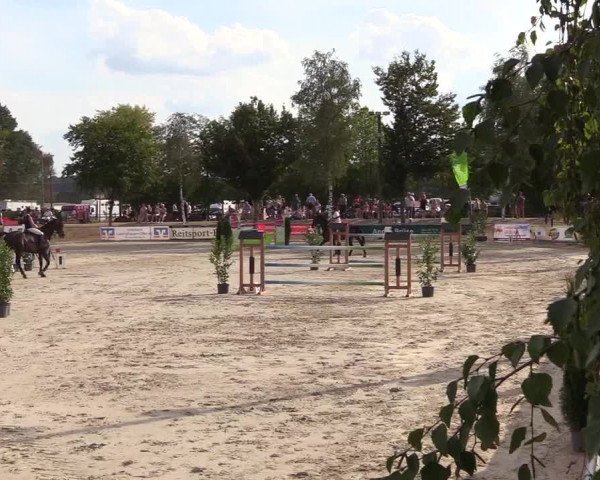 Reitturnier Olfen-Vinnum 2018