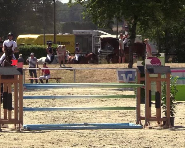Reitturnier Olfen-Vinnum 2018