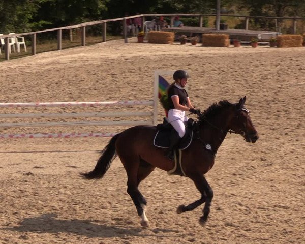 Reitturnier Monschau-Mützenich 2018