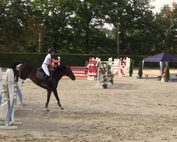 Reitturnier Olfen-Vinnum 2018