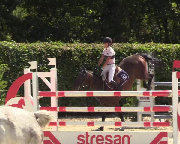 Reitturnier Olfen-Vinnum 2018