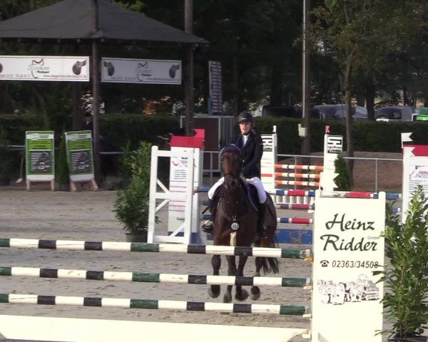 Reitturnier Olfen-Vinnum 2018