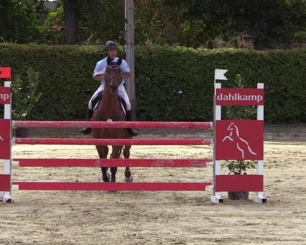 Reitturnier Olfen-Vinnum 2018