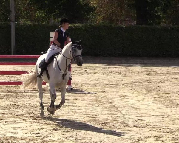Reitturnier Olfen-Vinnum 2018