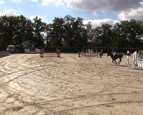 Reitturnier Olfen-Vinnum 2018