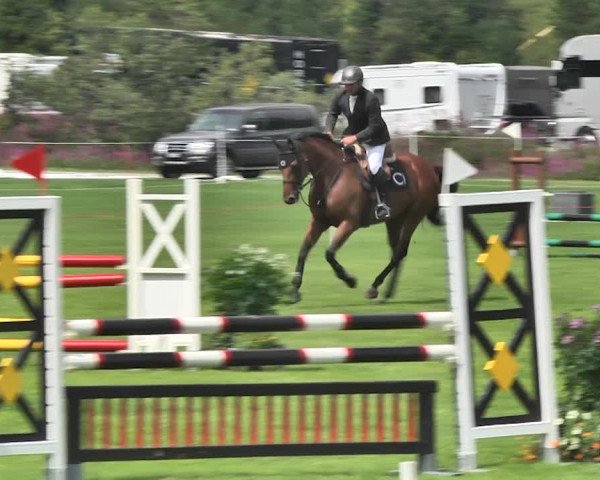 Sommer Concours Hippique St. Moritz 2018
