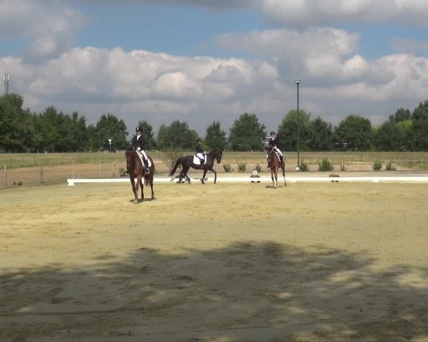 Reitturnier Neuss-Uedesheim 2018