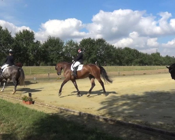 Reitturnier Neuss-Uedesheim 2018